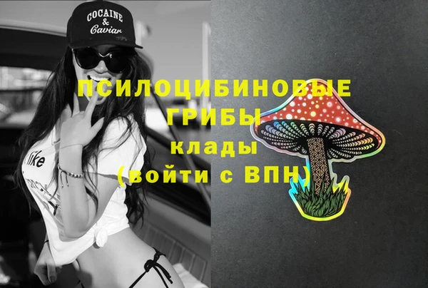 героин Алзамай