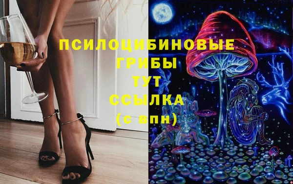 ECSTASY Алексин