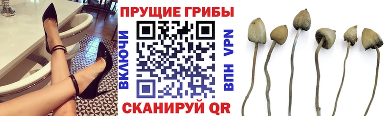 Псилоцибиновые грибы Psilocybe  ОМГ ОМГ как войти  Елец 